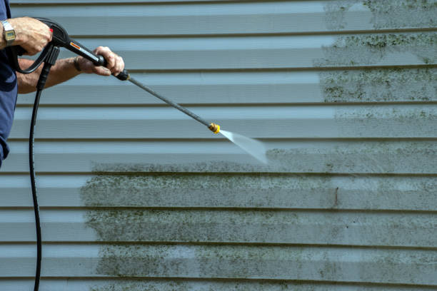 Best Driveway Pressure Washing  in South Miami, FL